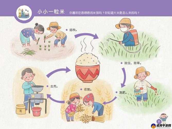 爱上看大米好玩吗？爱上看大米简介