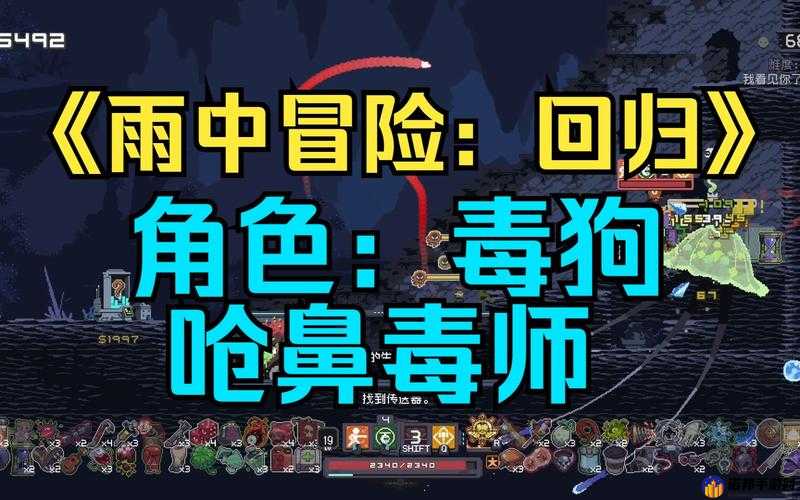 雨中冒险游戏重启，毒狗角色资源管理全攻略及高效技巧避免资源浪费策略